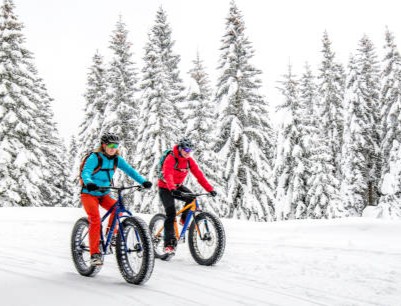 Tranquil scene with two cyclists on fatbikes riding through a snow-covered forest.